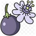 Fruit Vegan Plant Icon