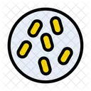 Virus Microbe Probiotic Icon