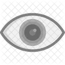 Visual Sight Vision Icon