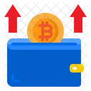 Bitcoin Cryptocurrency Currency Icon