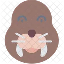 Walrus Mammal Animal Icon