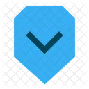 Guarantee Shield Protection Icon