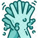 Washing hand  Icon