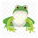 Frog Toad Bullfrog Icon