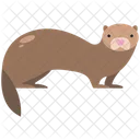 Weasels  Icon