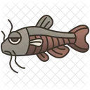 Wels Meereskultur Fisch Symbol