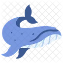 Whale  Icon