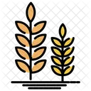 Wheat Agricultural Farm Icon