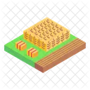 Farm Wheat Farm Wheat Fields Icon