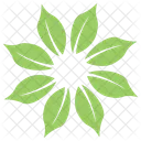 Whorled Arrangement Wildflower Icon