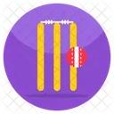 Wicket  Icon