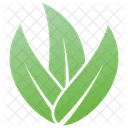 Wild Leaves Design Leaves Logo Plant Leaves Icon