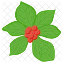 Wineberries Japanese Wineberry Berry Fruit Icon