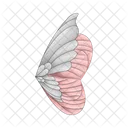 Wing Bird Feather Icon