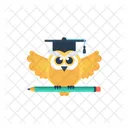 Wisdom Learning Logic Icon