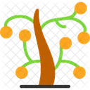 Wishing tree  Icon