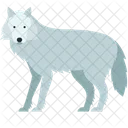 Wolf  Icon