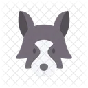 Wolf  Icon