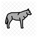 Wolf  Icon