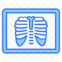 X-ray  Icon