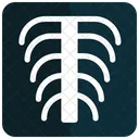 Xray Report X Ray Radiologist Icon