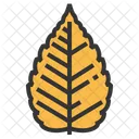 Zelkova Blatt Grun Symbol