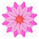 Zinnia Flower  Icon