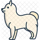 Zwergspitz Wildhund Hund Symbol