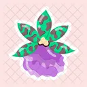 Flower Stickers Blooming Flowers Spring Flowers Icon