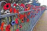 callous vandal destroys foklestone poppy project