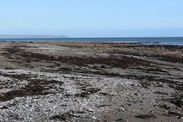 body found cornwall beach looe 