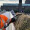 This iconic London landmark has a bale of hay hanging from it - by law