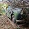 abandoned home classic car graveyard