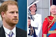 prince harry heartbroken king charles princess kate cancer