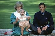 princess diana sleep william birth