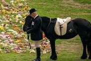 queen elizabeth ii funeral pony emma royal family