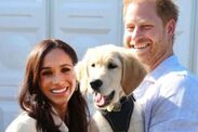 prince harry meghan markle neighbour california 