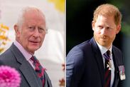 king charles praised by fans harry birthday message