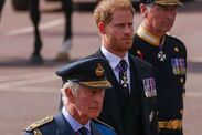 king charles olive branch prince harry birthday