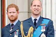 prince harry prince william cousin broker peace