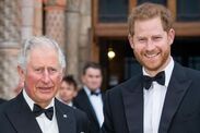 prince harry uk king charles meeting