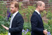 royal family live prince harry olive branch