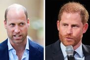 prince william olive branch harry feud fans