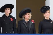 royal remembrance poppies where to buy