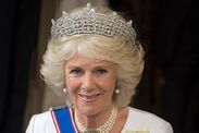 Queen Camilla blowdry shark airstyler