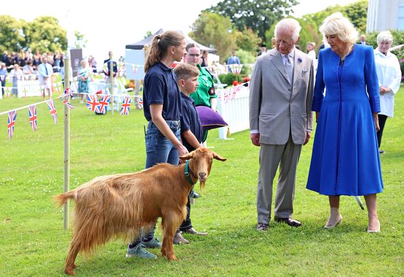 golden guernsey goat breed royal title king charles