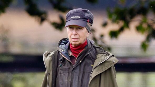 Princess Anne pays honor to the troops during Armistice Day ceremony