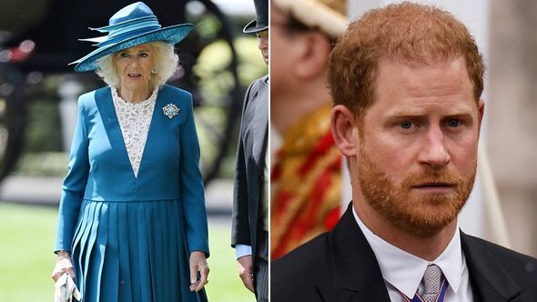 Prince Harry said his first meeting with Queen Camilla was like getting an injection