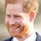 prince harry meghan markle royal family latest arthur edwards