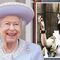 queen elizabeth ii elizabeth the great royal family 